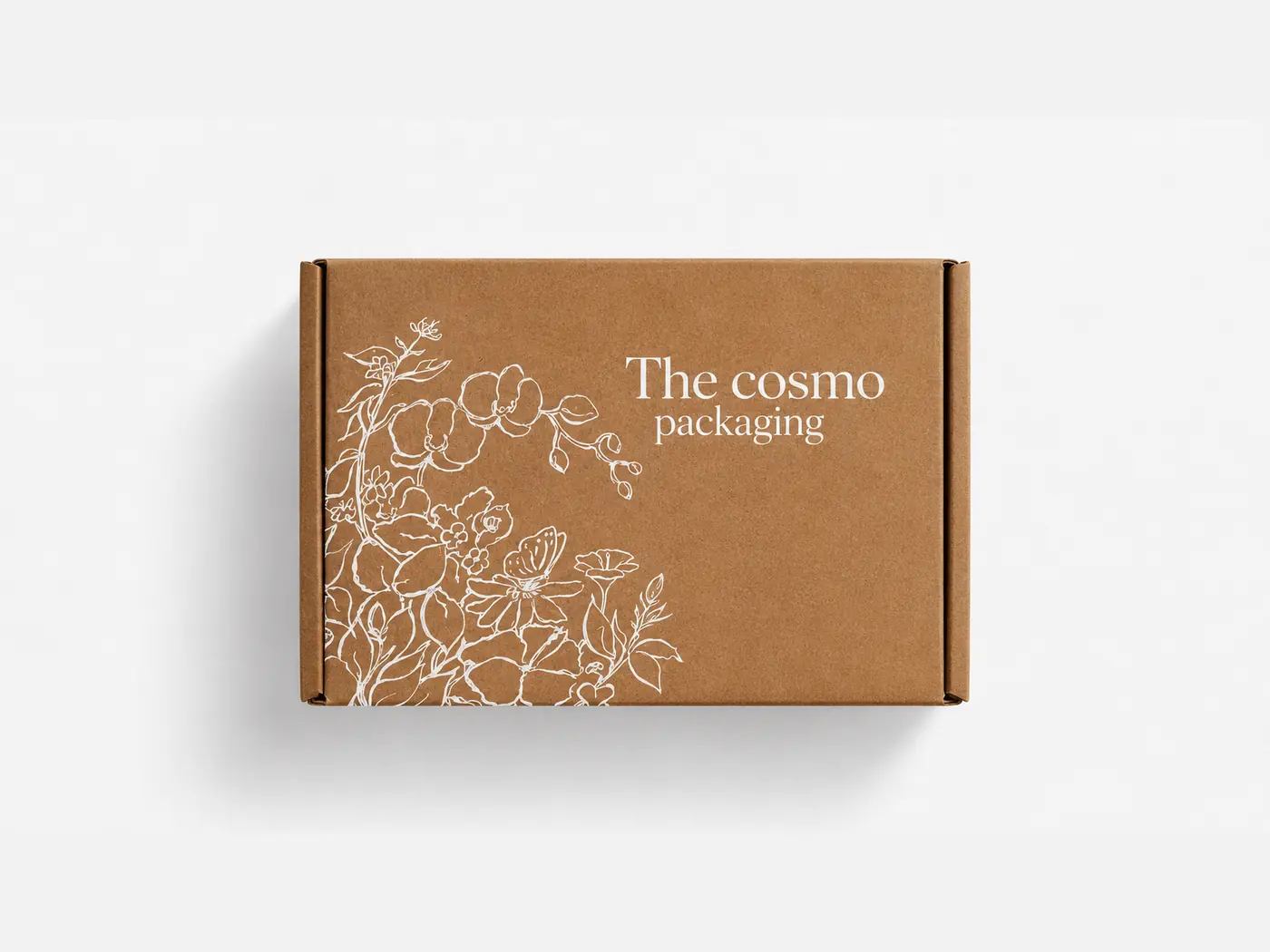 Kraft paperboard packaging with a natural paper surface